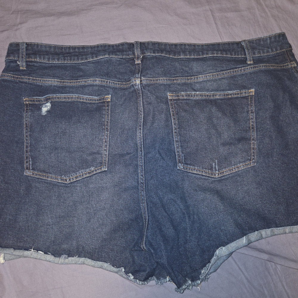 Terra & Sky Dark Blue Jean Shorts
